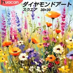 ダイヤモンドアートキット　スクエア　30×30