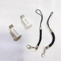 ライトニング タイプc 変換アダプタ PD60W急速充電 480Mbps