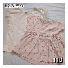 Tシャツ2枚まとめ売り　テータテート　アカチャンホンポ　110のサムネイル