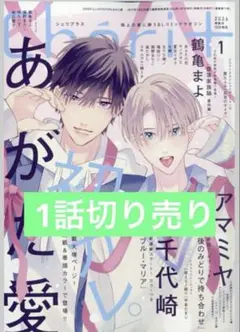 2026年最新】シェリプラス 3月号の人気アイテム - メルカリ