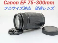5月26日限定価格♪【超望遠レンズ】PENTAX FA J 75-300mm - メルカリ