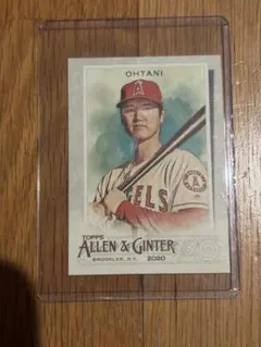 allen ginter