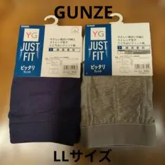 GUNZE YG ボクサーブリーフ 前開き LLサイズ2枚セットのサムネイル