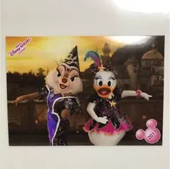 ディズニー スペシャルフォト