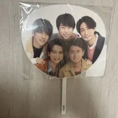 We are ARASHI 2026 ミニうちわ