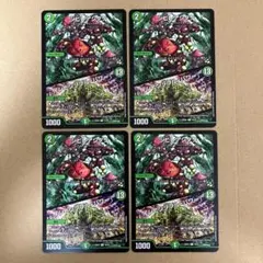 シビレアシダケ インビンシブルパワー 4枚