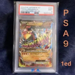 ポケモンカード　ゲンシグラードンEX RR 1ED XY5 PSA9のサムネイル