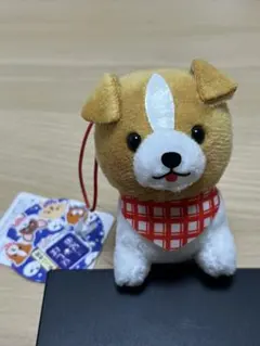 豆しば三兄弟