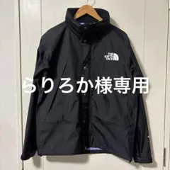 【美品】THE NORTH FACE マウンテンレインテックスジャケット L