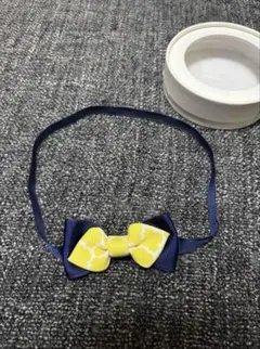 Item thumbnail for item 28daf59c-454c-4cb4-8626-3c7f00b1c4e7