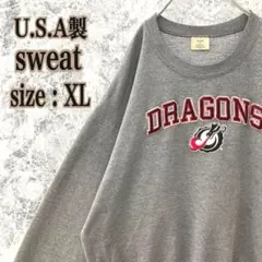 IS384 USA製古着ザゲームチームワッペンアーチロゴスウェットトレーナー定番