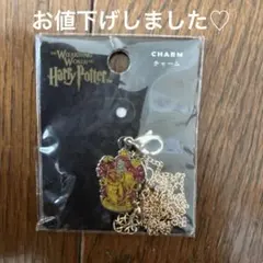【新品未使用】USJ ハリーポッター グリフィンドール　ネックレス付きチャーム