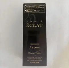 新品HAIR BEAUTE ÉCLAT エアカラー ナチュラルブラック 80gのサムネイル