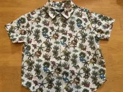 Item thumbnail for item 5eb9e606-2608-493d-9e17-5137c9876e20