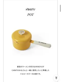 SEVENTEEN - SEVENTEEN ミンギュ アーティストメイド POT  新品未開封未使用 2025年最新】アーティストメイド ミンギュの人気アイテム - メルカリ