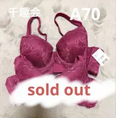 333様円～！千趣会 脇背中すっきりのびのびブラ 脇高のサムネイル