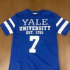 Yale University Tシャツ 青 ストライプ袖