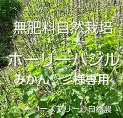 みかん☆彡様 リクエスト 2点 まとめ商品