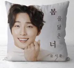 ❤️【 BTS JIN 】❤️ ⭐️クッションカバー⭐️45×45（麻の素材