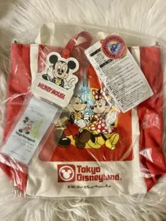 ディズニー 40周年 ショルダーバッグ　メモリーゴーラウンド パスケース付