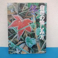 Item thumbnail for item b5f1deff-cfd8-4ed4-aad5-8d5275d71d65