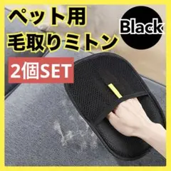 Item thumbnail for item 3a068265-73db-478f-9e23-d6cb431f1010