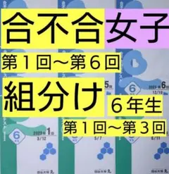 四谷大塚 ６年生女子 組分け／合不合判定過去問 (2024年 2025年2年分）