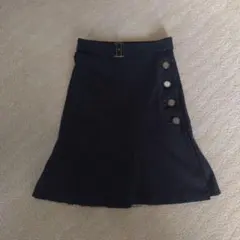 BURBERRY BLUE LABEL(バーバリーブルーレーベル）　スカート
