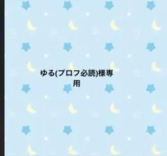 2026年最新】プロフ必読の人気アイテム - メルカリ