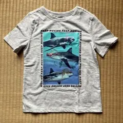 OLD NAVY キッズ Tシャツ サメ柄 5Tのサムネイル