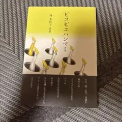 ピゴピゴハンマー 林佐佐子