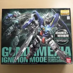 MG 1/100 ガンダムエクシア イグニッションモード 初回限定 내부 가방 미개봉