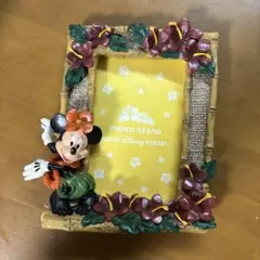 ミニー フォトフレーム 東京ディズニーランド