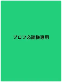 2025年最新】プロフ必読様専用の人気アイテム - メルカリ