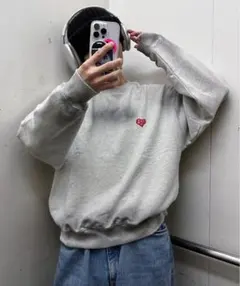 Perushuのトレーナー