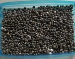 2025年最新】お手玉数珠玉の人気アイテム - メルカリ