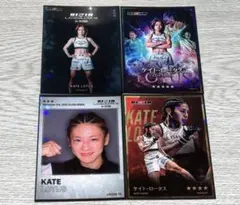 Item thumbnail for item 32e3a892-19bc-474e-9c60-d585a899bb49