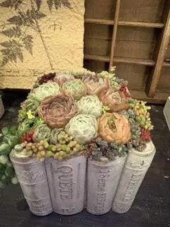 多肉植物寄せ植え　本型鉢　陶器鉢