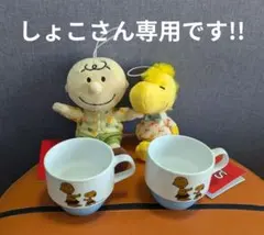 しょこさん専用です surf's up HONEYコラボマグカップとぬいぐるみ