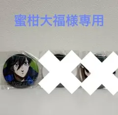 蜜柑大福様専用ページ