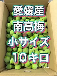 2026年最新】南高梅10キロの人気アイテム - メルカリ