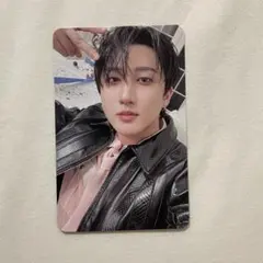 Do It ITver 封入トレカ チャンビン