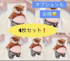 4枚セット　4匹セット　柴犬シール　お腹シール　おなかシール　3D 　シール