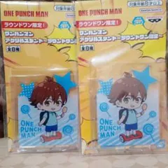 ilovecockatiel様 リクエスト 2点 まとめ商品