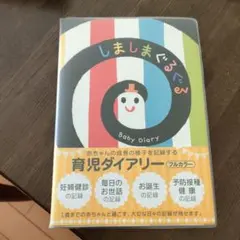 Item thumbnail for item 9a45c8b2-4d65-4c86-9334-b0dff91b03e3