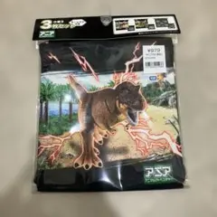 アニア　恐竜デザイン 巾着袋 3枚セット Sサイズ