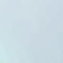 독점 페이지