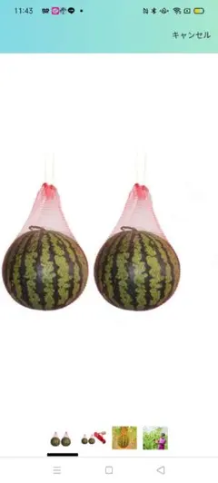 Item thumbnail for item c773be92-b1e3-4889-b161-dbe9baa61302