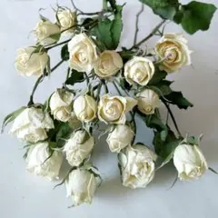 スプレーバラ　白2　ドライフラワー