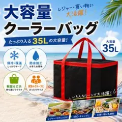 대용량 접이식 쿨러 백, 35L, 단열, 레저, 블랙, 레드